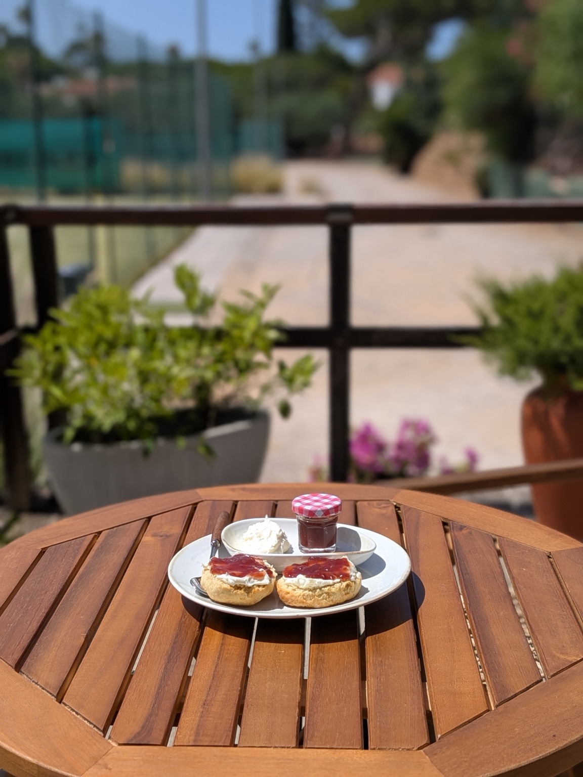 Homemade cream tea with scones
